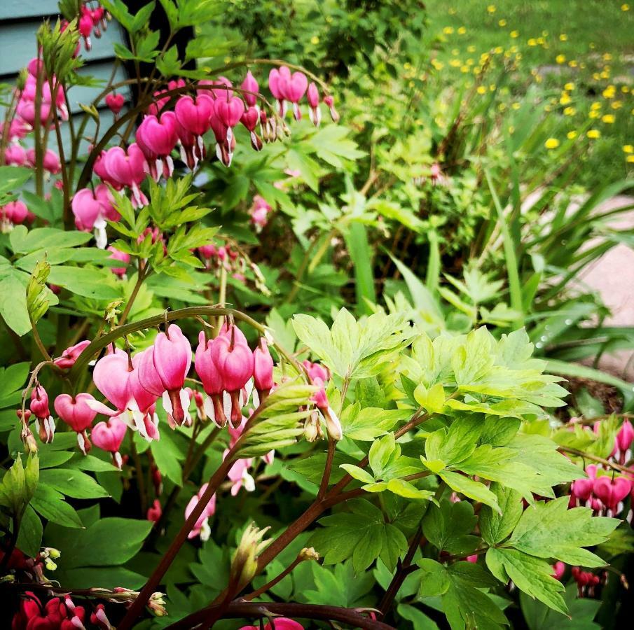 Harbor Hill House Hotel Bayfield Esterno foto